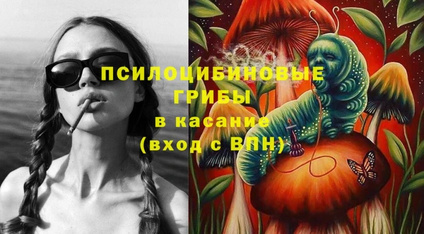 прущие крисы Новодвинск