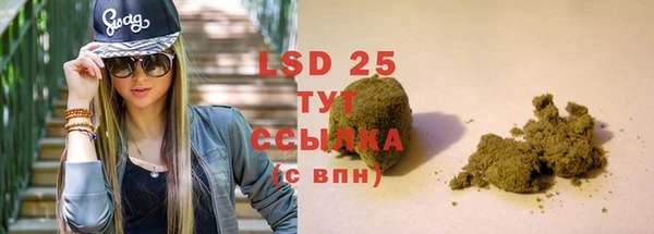 прущие крисы Новодвинск