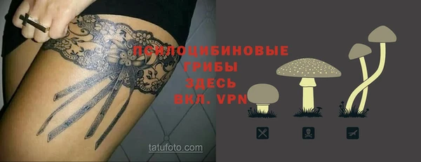 прущие крисы Новодвинск