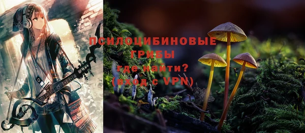 МДМА Новозыбков