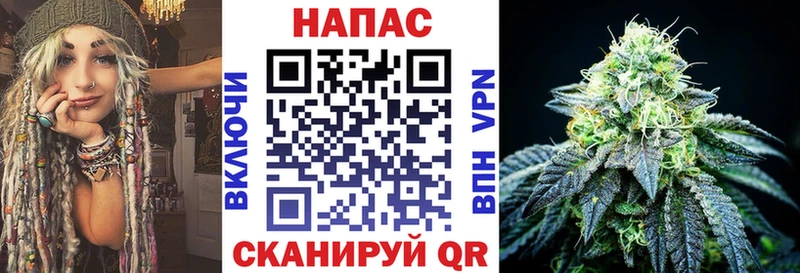 Каннабис ГИДРОПОН  Купить где  Красный Кут 